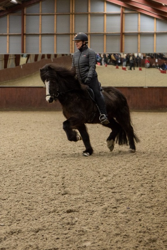 Icehorse åbent hus-55.jpg